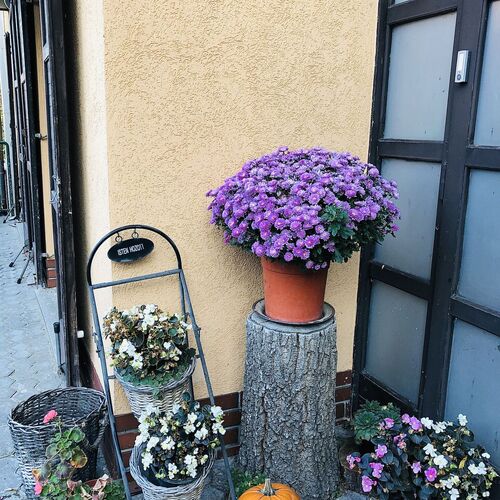 Bobbio Hotel Budapest