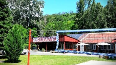 Borsatanya Balatonkenese 