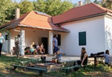 Bozótvölgy Kulcsosház Kosd 