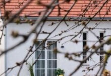 Bükfalva Nagy Pál 15 Apartman Bük 