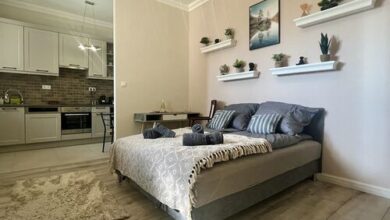 City Centre Piac Flat Debrecen 