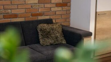 City Royal Studio Apartman Székesfehérvár 