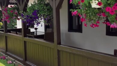 Cottage House Balatonszemes 