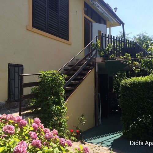 Diófa Apartman Badacsony – Badacsonytomaj