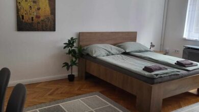 Downtown Studio Apartman Pécs 