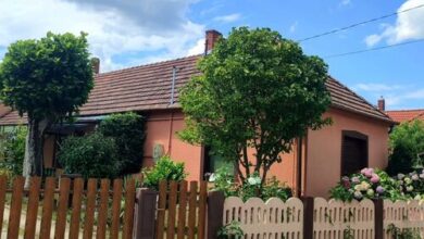 Erzsébet Apartman Sármellék 