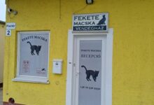 Fekete Macska Vendégház Tata 