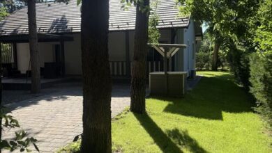 Fenyőzug Vendégház Pócsmegyer 