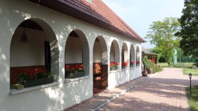 Fenyves Apartman Balatonfenyves 