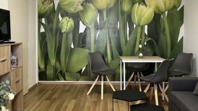 Green Harmony Apartman Pécs 