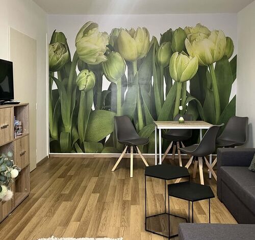 Green Harmony Apartman Pécs 