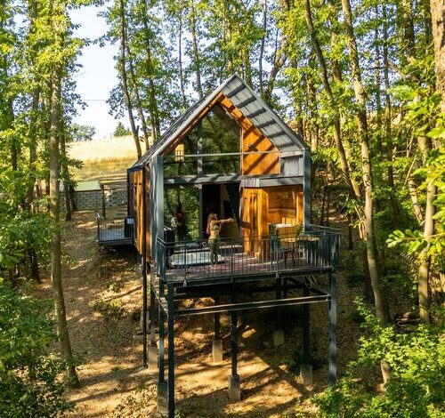 Green House - Why not Kismaros  
