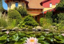 Green Park Villa Eger 
