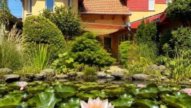 Green Park Villa Eger 