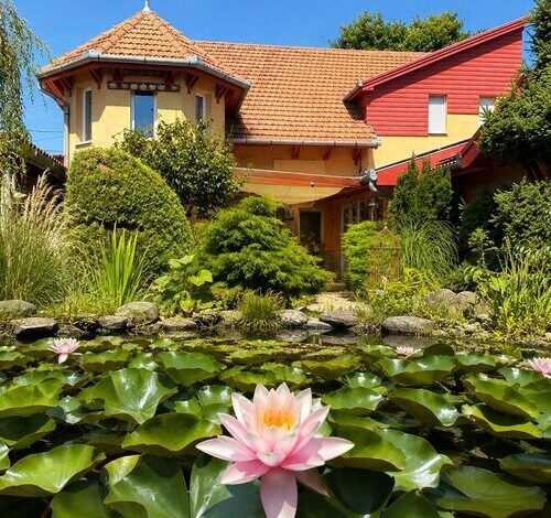 Green Park Villa Eger 