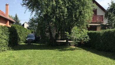 Hadd Simogasson A Balaton Nyaraló Balatonmáriafürdő 