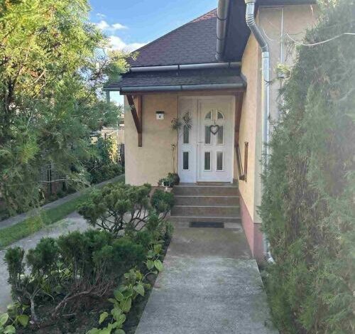 Kitti Kuckója Debrecen 