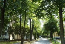 Knédli Apartman Miskolc 