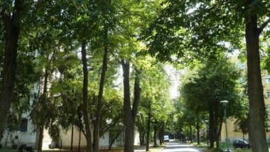 Knédli Apartman Miskolc 