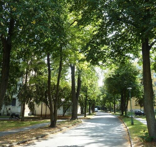 Knédli Apartman Miskolc 