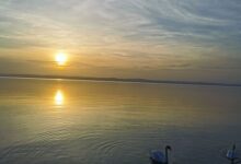 Leicht Apartman Siofok 
