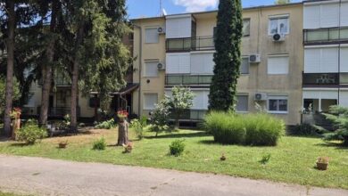 Liefnest Apartman Harkány 
