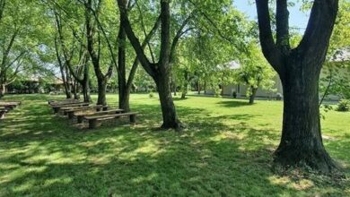 Liget Üdülőpark Fonyód 