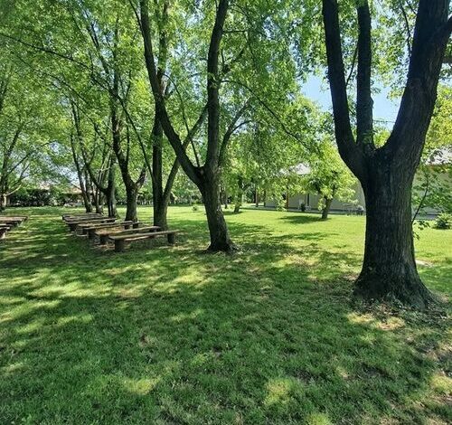 Liget Üdülőpark Fonyód 