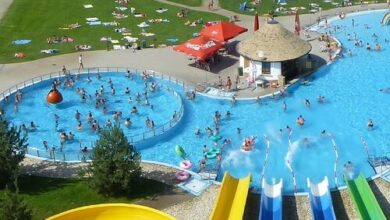 Lipóti Termál - és Élményfürdő & Camping