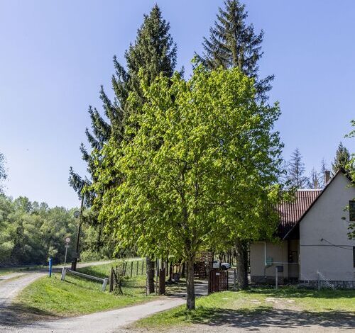 Longi Öregnyár Vadászház 