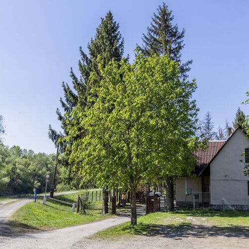 Longi Öregnyár Vadászház – Sátoraljaújhely