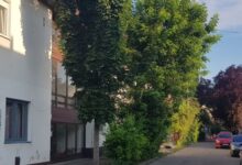 Lotti Apartman Kiskunhalas 