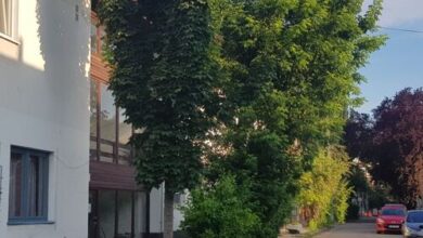 Lotti Apartman Kiskunhalas 