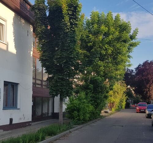 Lotti Apartman Kiskunhalas 