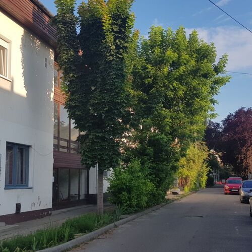 Lotti Apartman Kiskunhalas