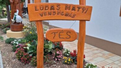 Lúdas Matyi Vendégház Tés 