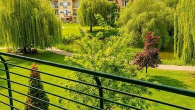 Mediterrán Apartman Cserkeszőlő  