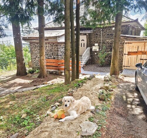 Mountain Home Galyatető Mátraszentimre 