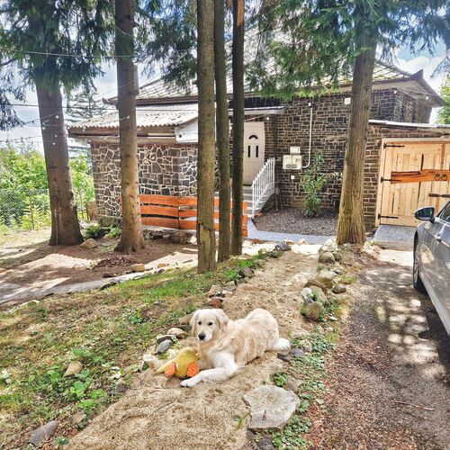 Mountain Home Galyatető Mátraszentimre