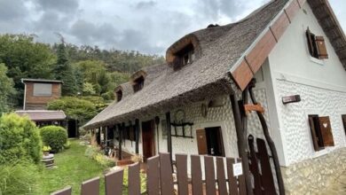 Nádas Vendégház és Wellness Nemesvita 