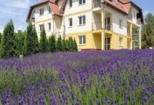 Oxigén Apartman2 Bükkszentkereszt 