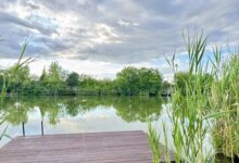 Relax Vendégház Bónom-Zug Gyomaendrőd 