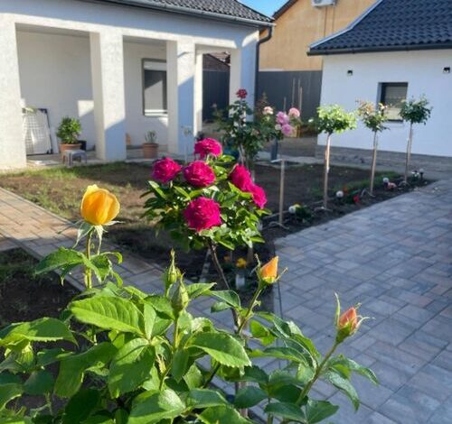 Rózsakert Apartman Gyula 