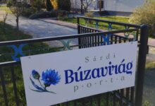 Sárdi Búzavirág Porta  Belsősárd 