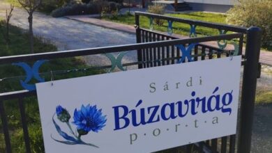 Sárdi Búzavirág Porta  Belsősárd 