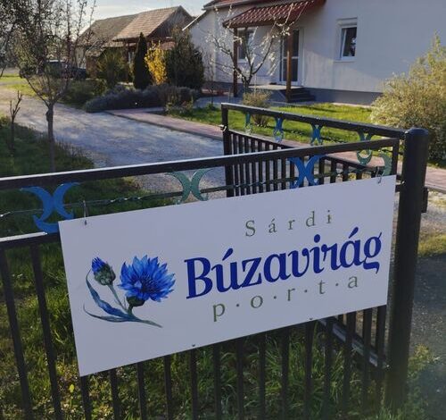 Sárdi Búzavirág Porta  Belsősárd 