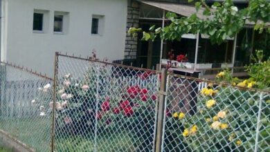 Smaragd Villa Balatonboglár 