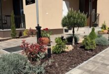 Steersman Apartman Gyula 