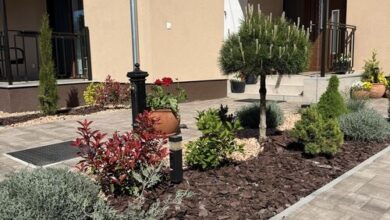 Steersman Apartman Gyula 
