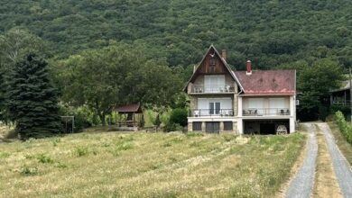 Szőlőhegyi Nyaralóház Balatonederics 
